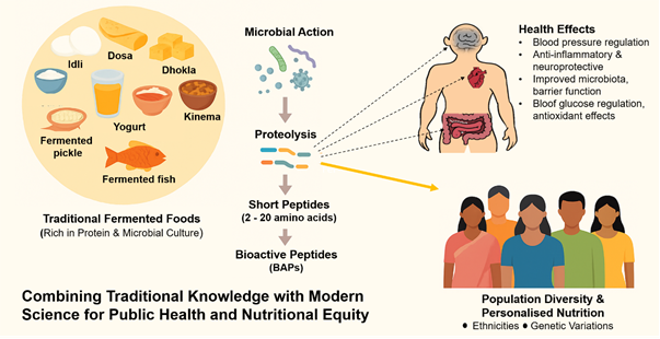 Fermented food